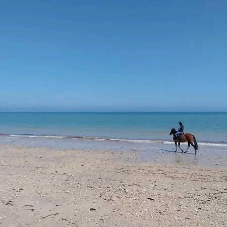 De La Mouette Le Tourteau 5-6 Pers Ravenoville