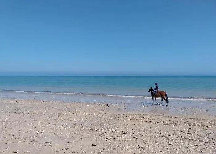 De La Mouette Le Tourteau 5-6 Pers Ravenoville